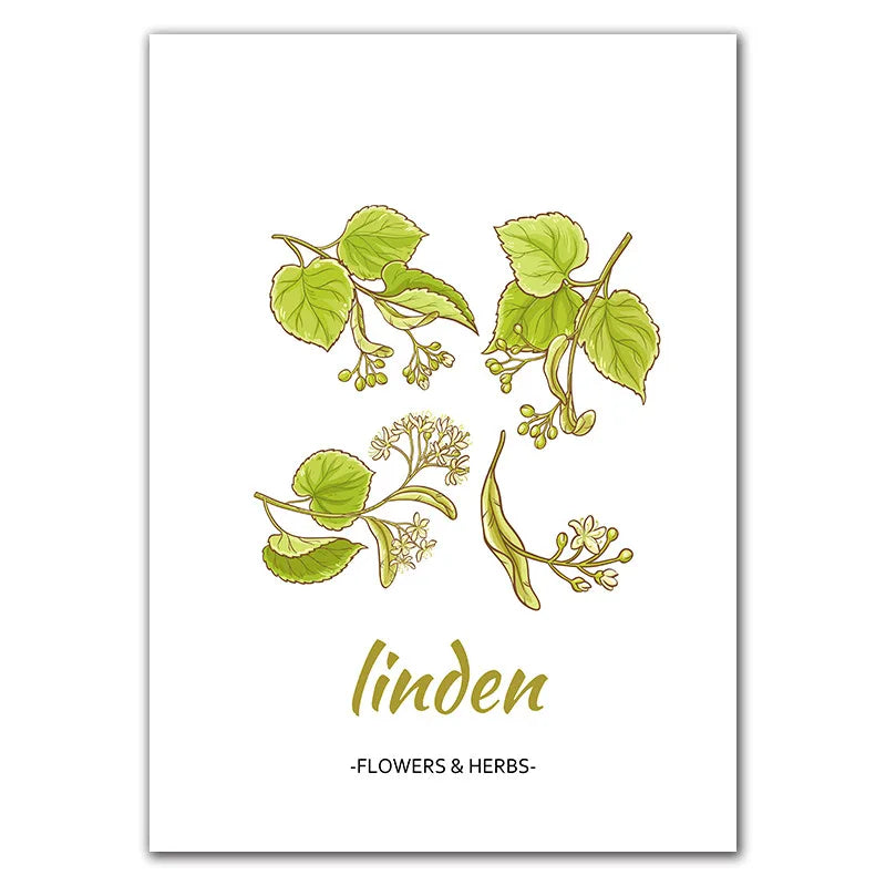 Botanical Herb Art Canvas Painting Print And Poster nordic Flowers Herbs Wall Pictures Kitchen Room Decor Home Decoration
