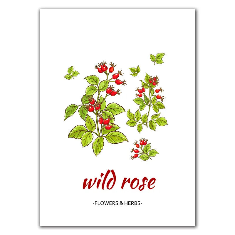 Botanical Herb Art Canvas Painting Print And Poster nordic Flowers Herbs Wall Pictures Kitchen Room Decor Home Decoration
