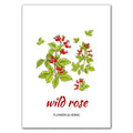 Botanical Herb Art Canvas Painting Print And Poster nordic Flowers Herbs Wall Pictures Kitchen Room Decor Home Decoration