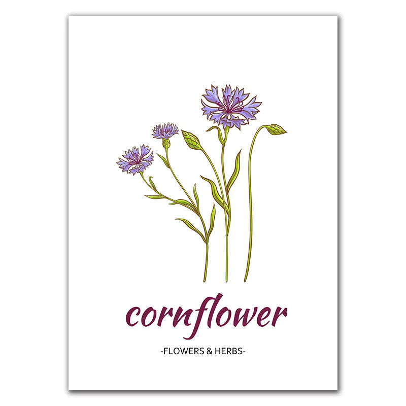 Botanical Herb Art Canvas Painting Print And Poster nordic Flowers Herbs Wall Pictures Kitchen Room Decor Home Decoration