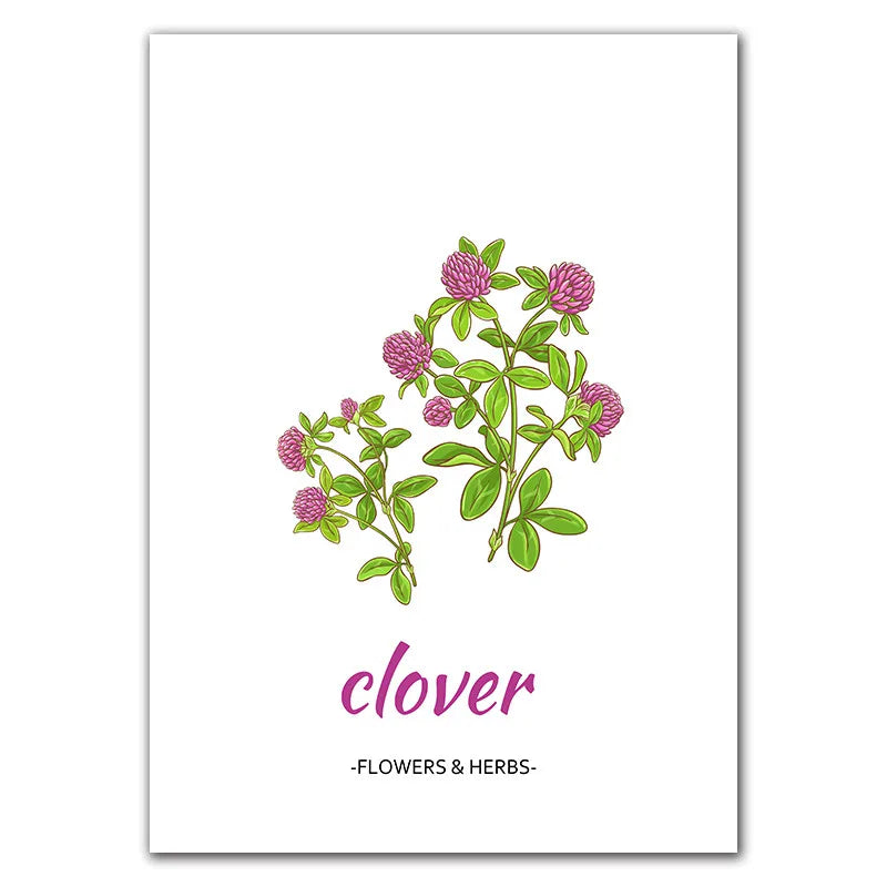 Botanical Herb Art Canvas Painting Print And Poster nordic Flowers Herbs Wall Pictures Kitchen Room Decor Home Decoration