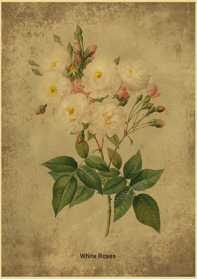 Botanical Poster Herb Plants Floral Art Wall Painting Blue Butterfly Flower Retro Prints Rose Vintage Home Room Decor Picture