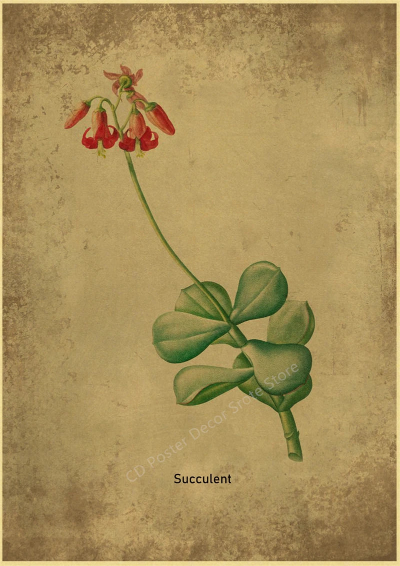 Botanical Poster Herb Plants Floral Art Wall Painting Blue Butterfly Flower Retro Prints Rose Vintage Home Room Decor Picture