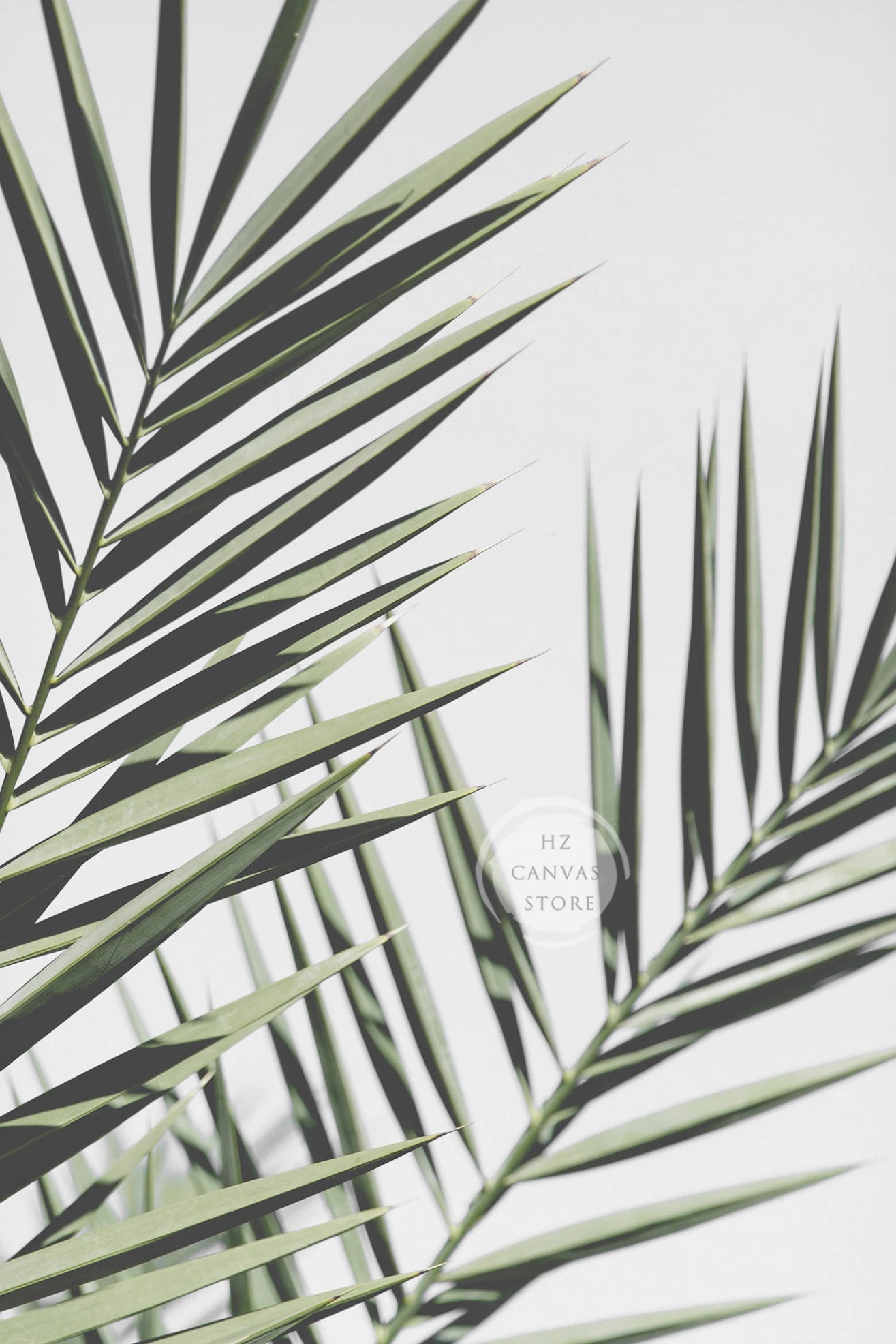 Modern Botanical Farmhouse Print Wall Art Eucalyptus Olive Branch Palm Leaves Neutral Nature Photography Living Room Home Decor