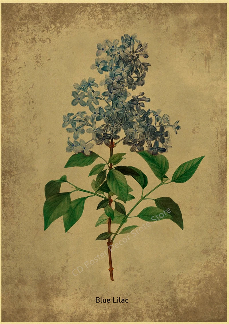Botanical Poster Herb Plants Floral Art Wall Painting Blue Butterfly Flower Retro Prints Rose Vintage Home Room Decor Picture