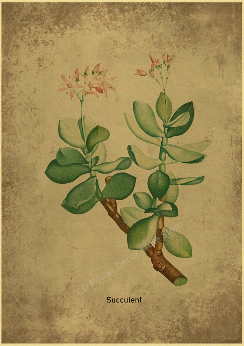 Botanical Poster Herb Plants Floral Art Wall Painting Blue Butterfly Flower Retro Prints Rose Vintage Home Room Decor Picture