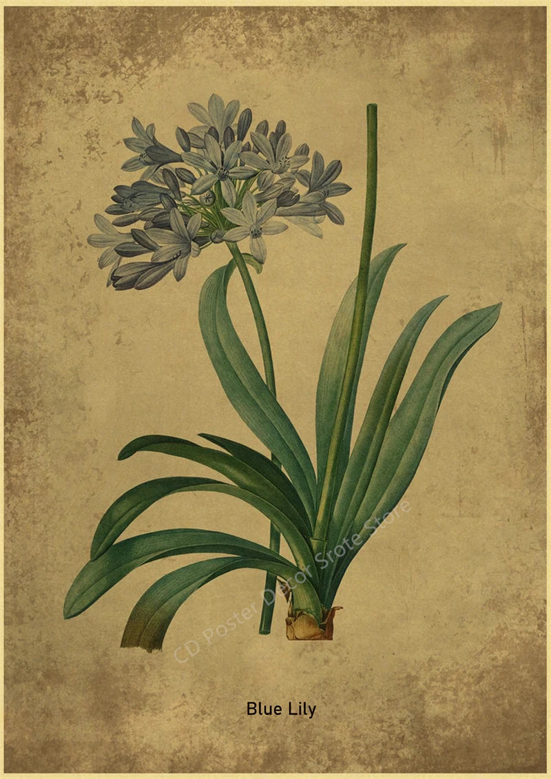 Botanical Poster Herb Plants Floral Art Wall Painting Blue Butterfly Flower Retro Prints Rose Vintage Home Room Decor Picture