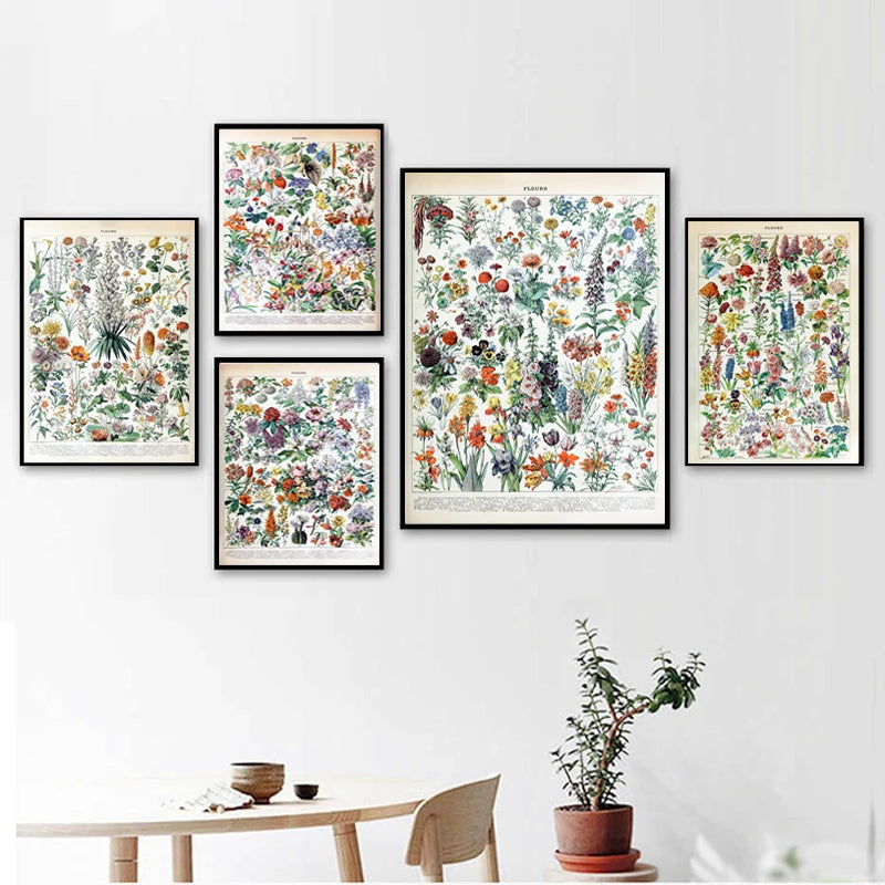 Mushroom Vintage Botanical Herbs Flowers Vegetable Encyclopedia Wall Art Canvas Painting Poster Decorative Prints Room Pictures