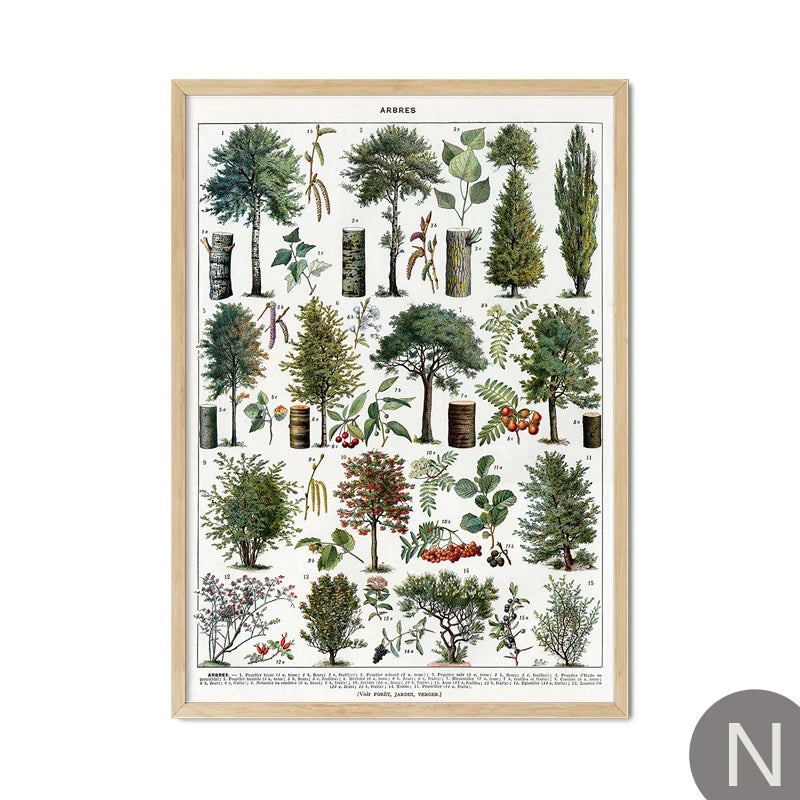 Mushroom Vintage Botanical Herbs Flowers Vegetable Encyclopedia Wall Art Canvas Painting Poster Decorative Prints Room Pictures