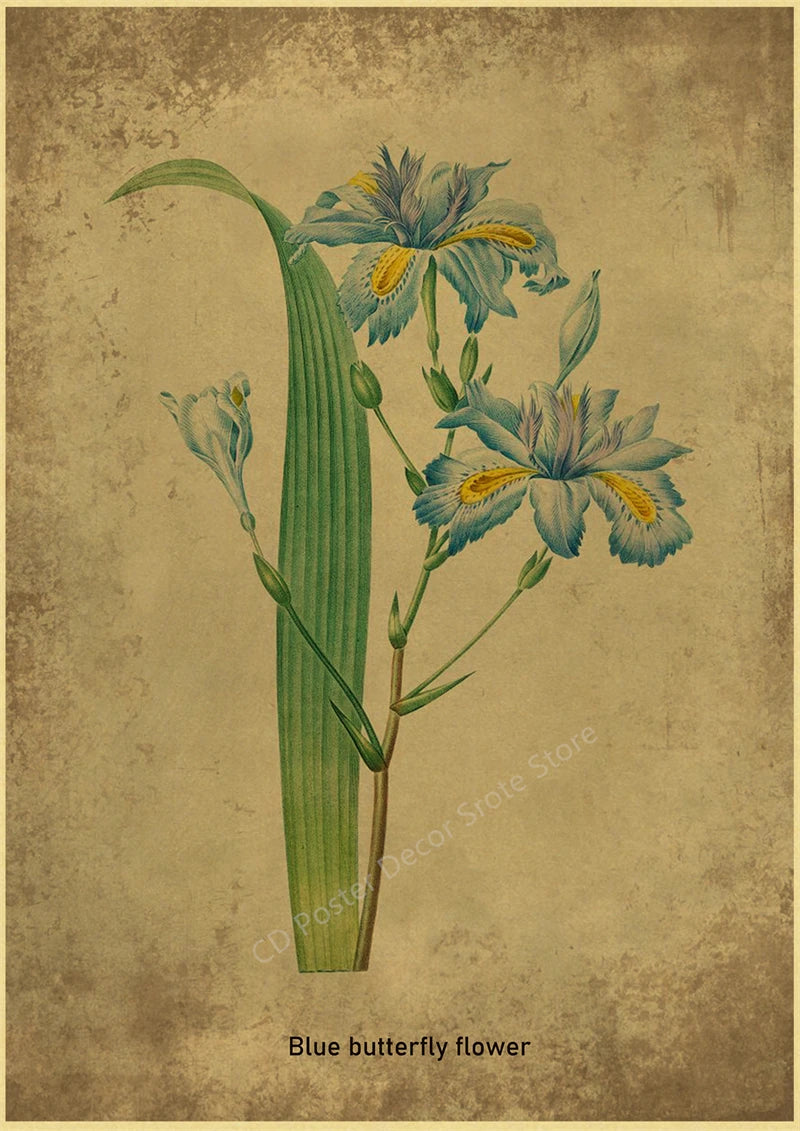 Botanical Poster Herb Plants Floral Art Wall Painting Blue Butterfly Flower Retro Prints Rose Vintage Home Room Decor Picture