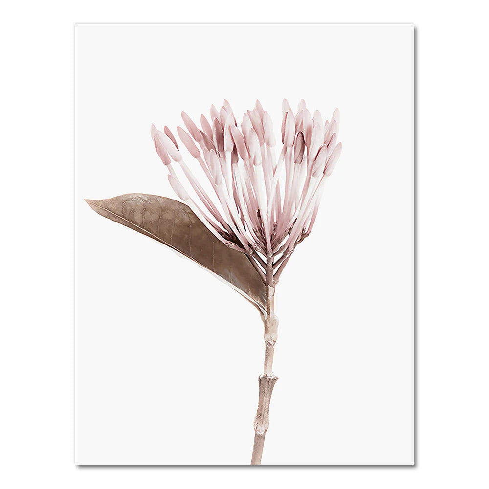 Botanical Flowers Posters and Prints Gallery Wall Art Canvas Painting Plant Wall Pictures for Living Room Home Decor