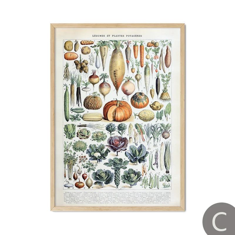 Mushroom Vintage Botanical Herbs Flowers Vegetable Encyclopedia Wall Art Canvas Painting Poster Decorative Prints Room Pictures