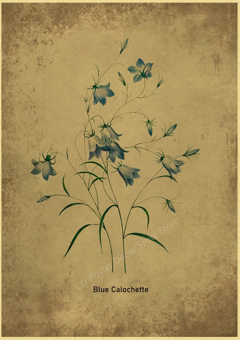 Botanical Poster Herb Plants Floral Art Wall Painting Blue Butterfly Flower Retro Prints Rose Vintage Home Room Decor Picture