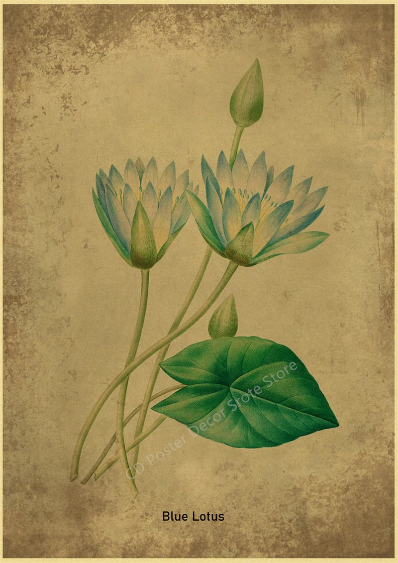 Botanical Poster Herb Plants Floral Art Wall Painting Blue Butterfly Flower Retro Prints Rose Vintage Home Room Decor Picture