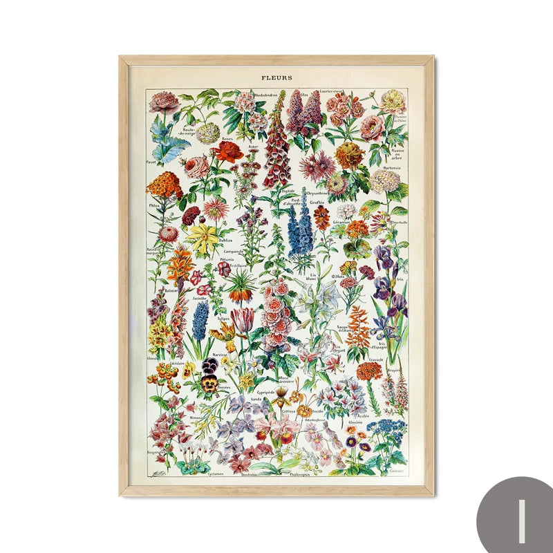 Mushroom Vintage Botanical Herbs Flowers Vegetable Encyclopedia Wall Art Canvas Painting Poster Decorative Prints Room Pictures