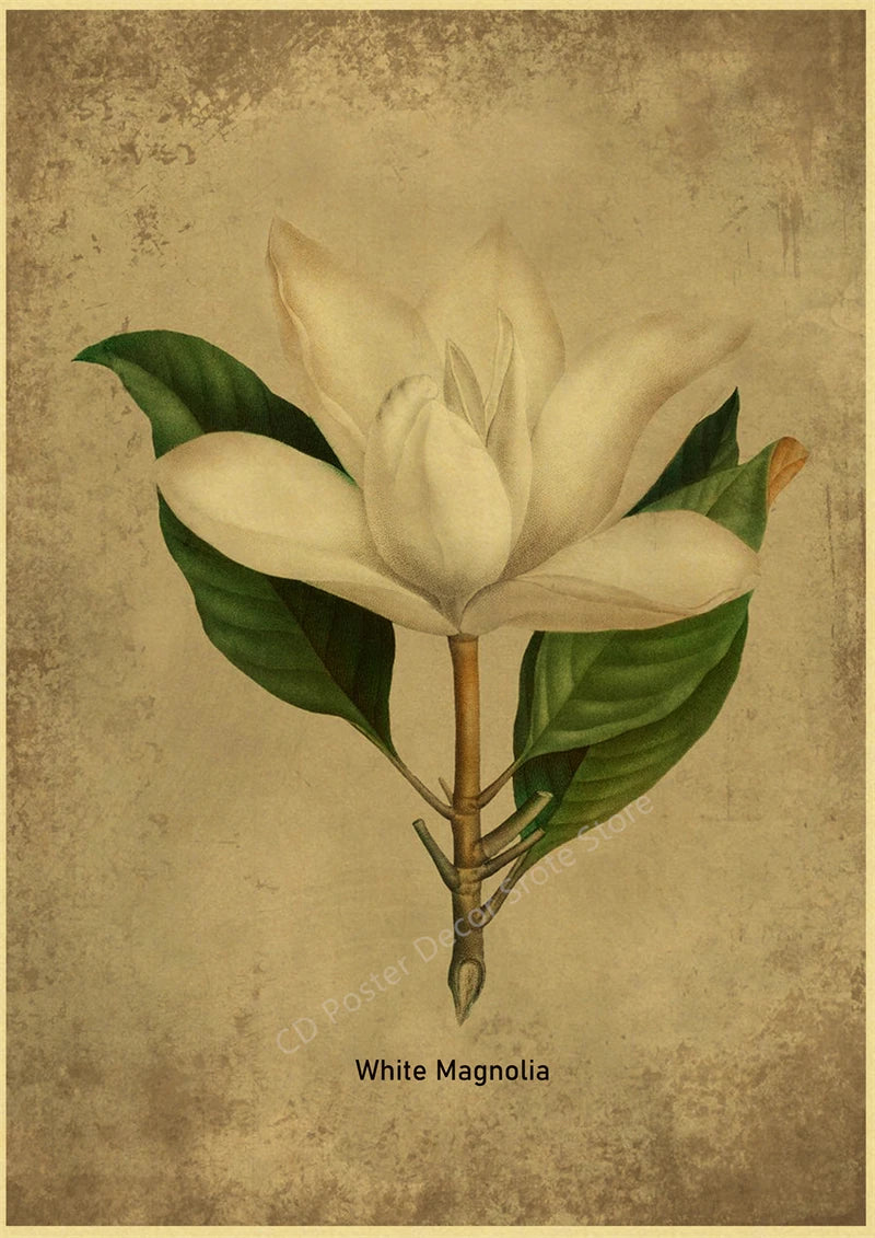 Botanical Poster Herb Plants Floral Art Wall Painting Blue Butterfly Flower Retro Prints Rose Vintage Home Room Decor Picture