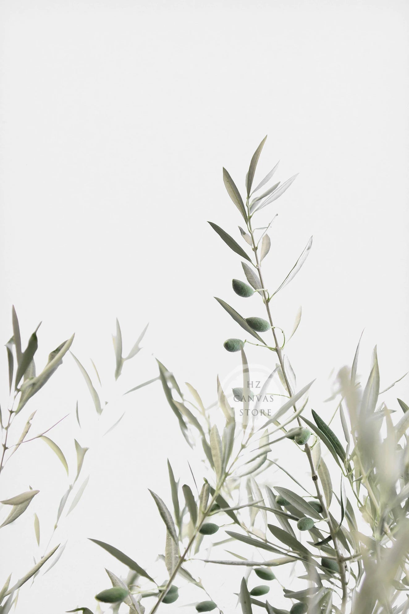 Modern Botanical Farmhouse Print Wall Art Eucalyptus Olive Branch Palm Leaves Neutral Nature Photography Living Room Home Decor