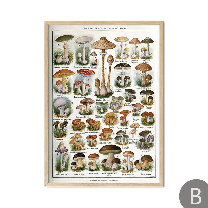 Mushroom Vintage Botanical Herbs Flowers Vegetable Encyclopedia Wall Art Canvas Painting Poster Decorative Prints Room Pictures