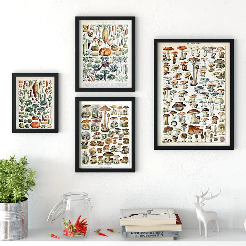 Mushroom Vintage Botanical Herbs Flowers Vegetable Encyclopedia Wall Art Canvas Painting Poster Decorative Prints Room Pictures