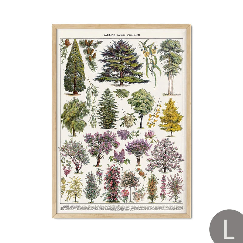 Mushroom Vintage Botanical Herbs Flowers Vegetable Encyclopedia Wall Art Canvas Painting Poster Decorative Prints Room Pictures