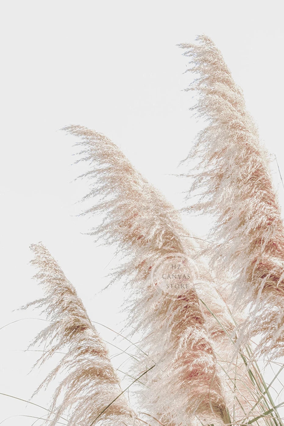 Modern Botanical Farmhouse Print Wall Art Eucalyptus Olive Branch Palm Leaves Neutral Nature Photography Living Room Home Decor