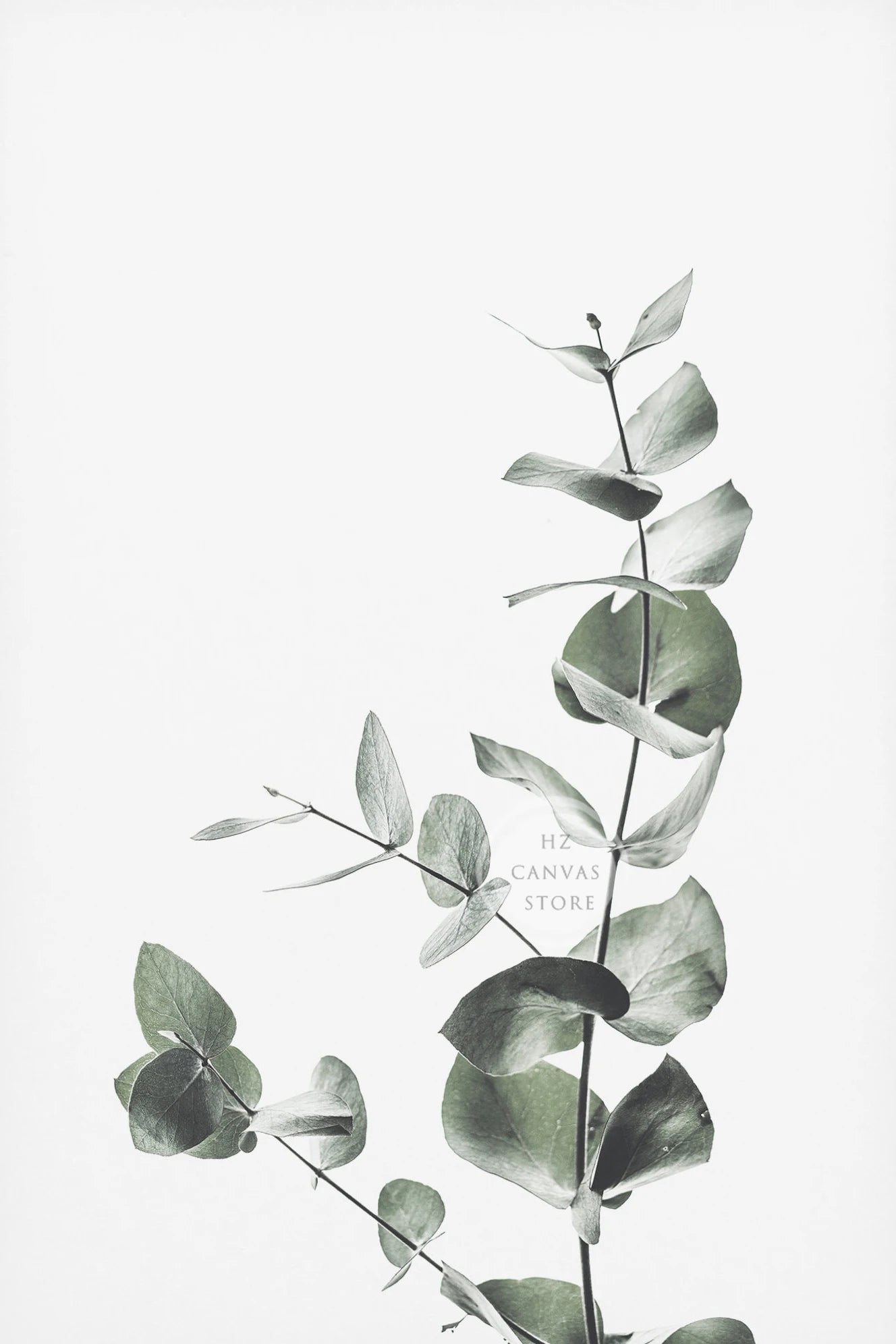 Modern Botanical Farmhouse Print Wall Art Eucalyptus Olive Branch Palm Leaves Neutral Nature Photography Living Room Home Decor