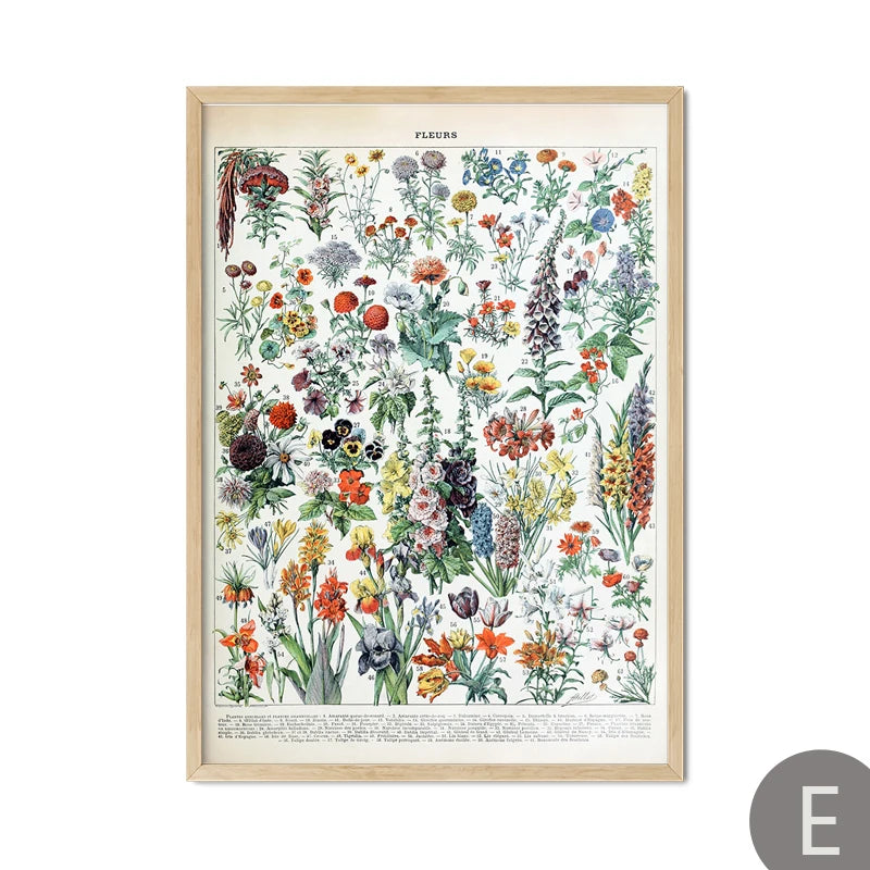 Mushroom Vintage Botanical Herbs Flowers Vegetable Encyclopedia Wall Art Canvas Painting Poster Decorative Prints Room Pictures