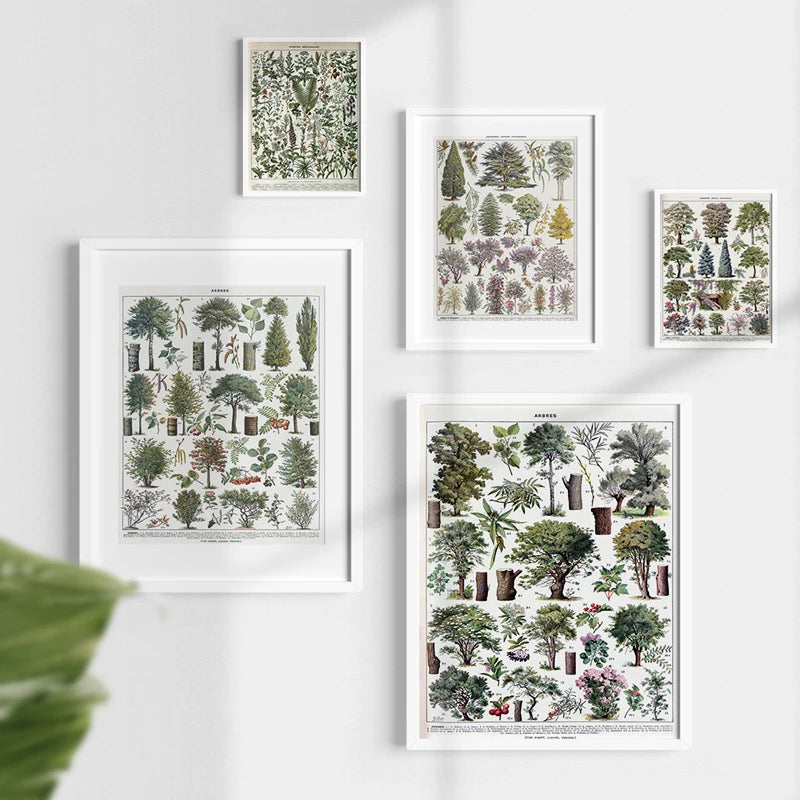 Mushroom Vintage Botanical Herbs Flowers Vegetable Encyclopedia Wall Art Canvas Painting Poster Decorative Prints Room Pictures