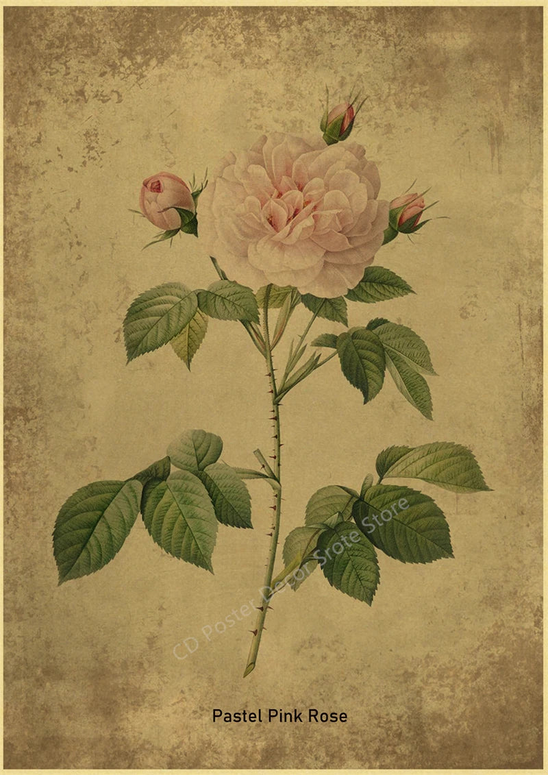 Botanical Poster Herb Plants Floral Art Wall Painting Blue Butterfly Flower Retro Prints Rose Vintage Home Room Decor Picture