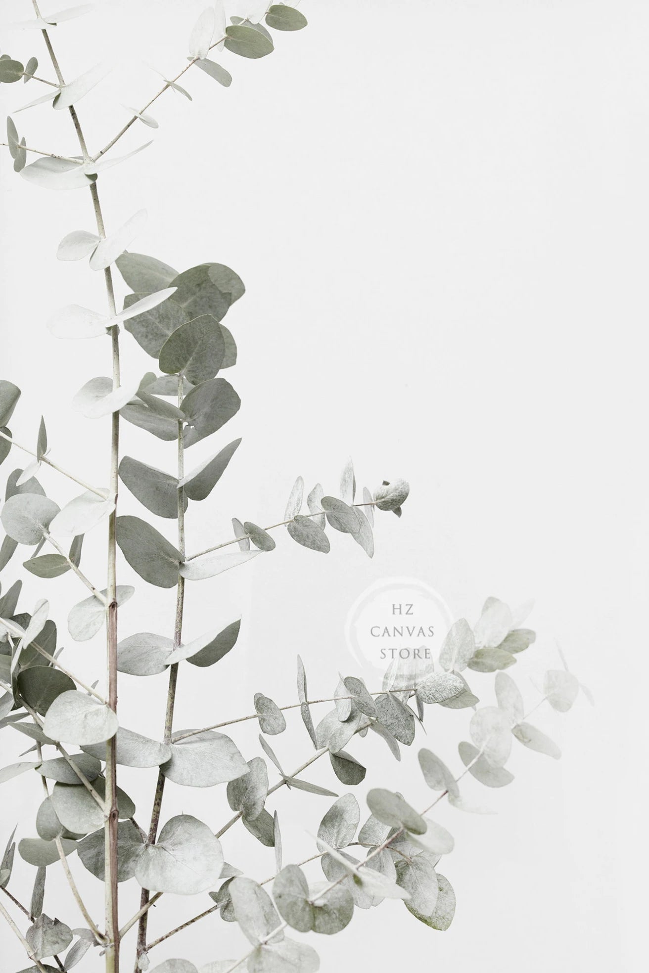 Modern Botanical Farmhouse Print Wall Art Eucalyptus Olive Branch Palm Leaves Neutral Nature Photography Living Room Home Decor