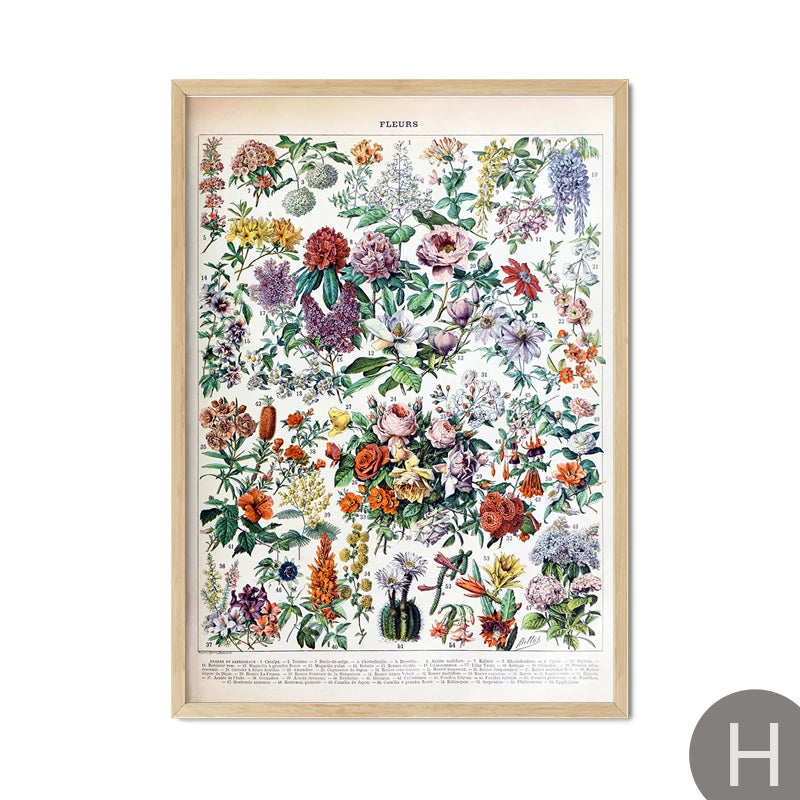 Mushroom Vintage Botanical Herbs Flowers Vegetable Encyclopedia Wall Art Canvas Painting Poster Decorative Prints Room Pictures