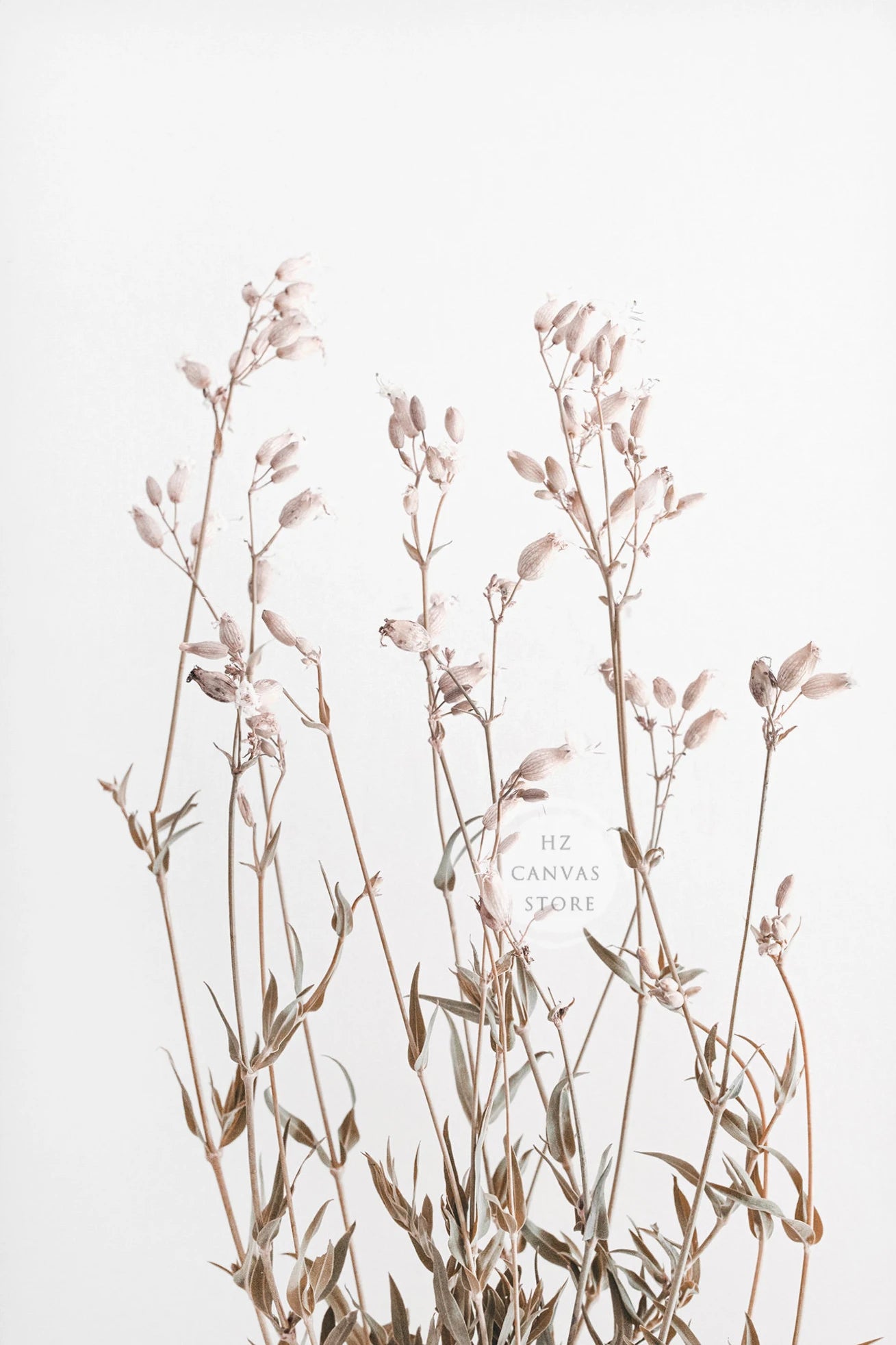 Modern Botanical Farmhouse Print Wall Art Eucalyptus Olive Branch Palm Leaves Neutral Nature Photography Living Room Home Decor