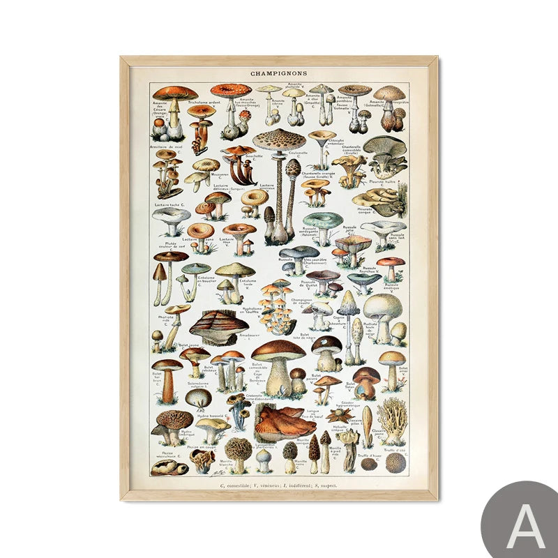 Mushroom Vintage Botanical Herbs Flowers Vegetable Encyclopedia Wall Art Canvas Painting Poster Decorative Prints Room Pictures