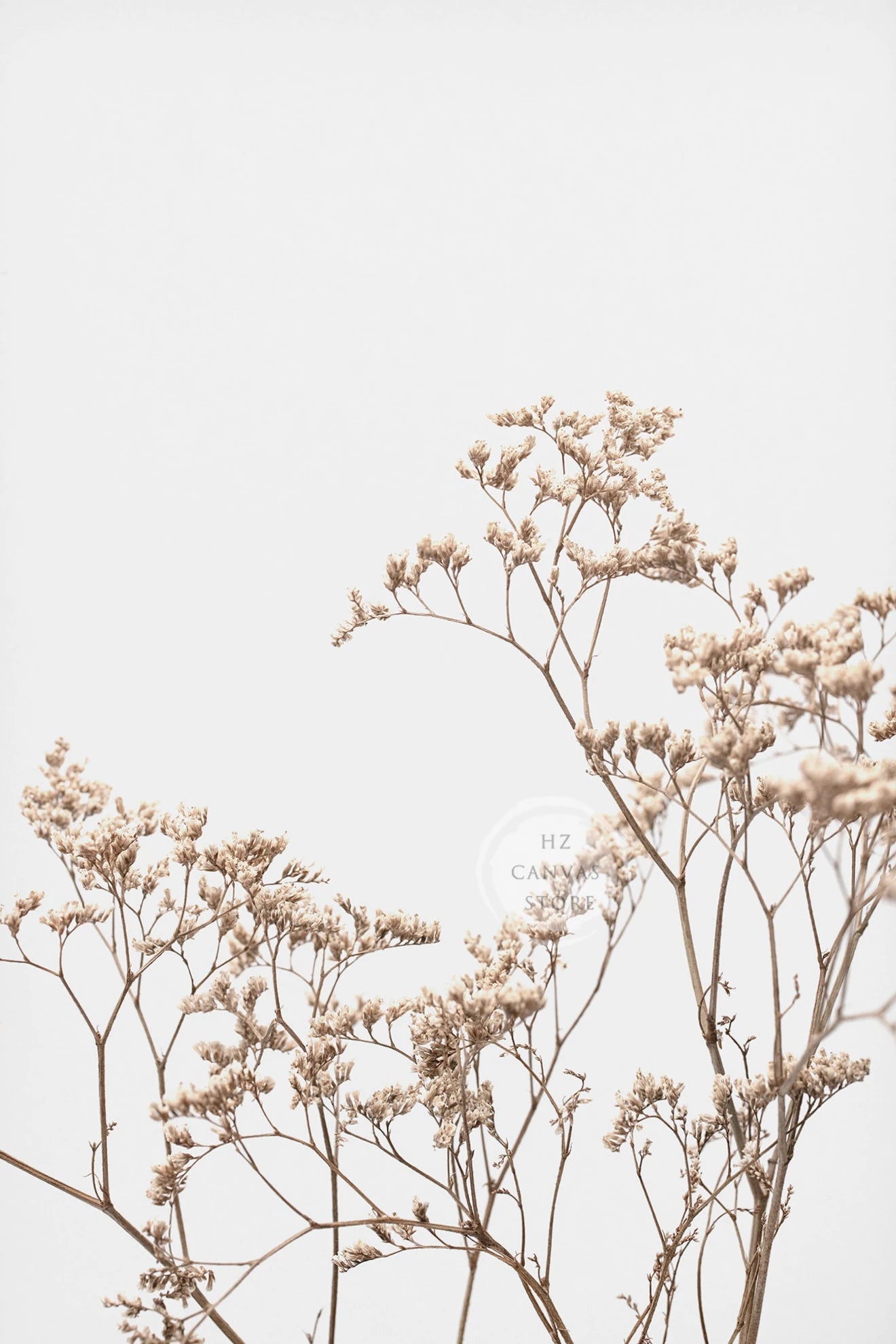 Modern Botanical Farmhouse Print Wall Art Eucalyptus Olive Branch Palm Leaves Neutral Nature Photography Living Room Home Decor