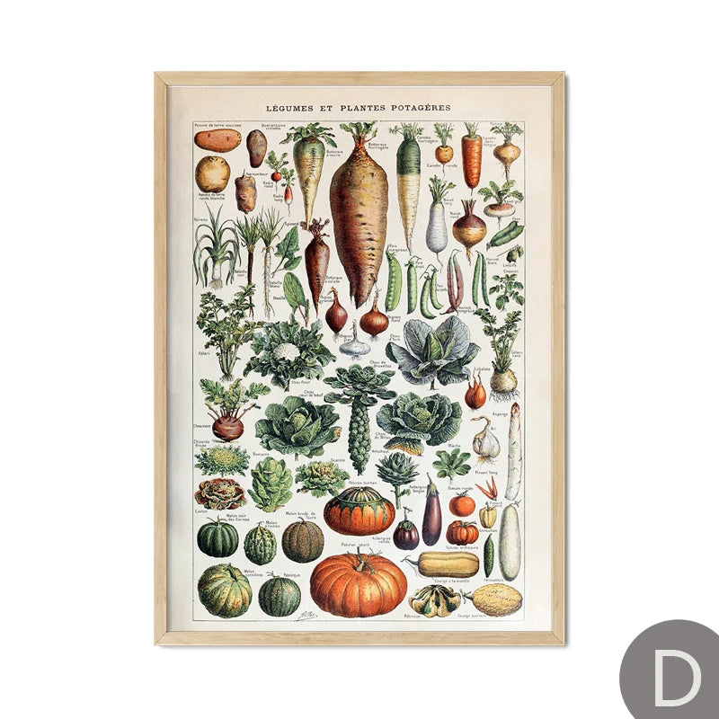 Mushroom Vintage Botanical Herbs Flowers Vegetable Encyclopedia Wall Art Canvas Painting Poster Decorative Prints Room Pictures