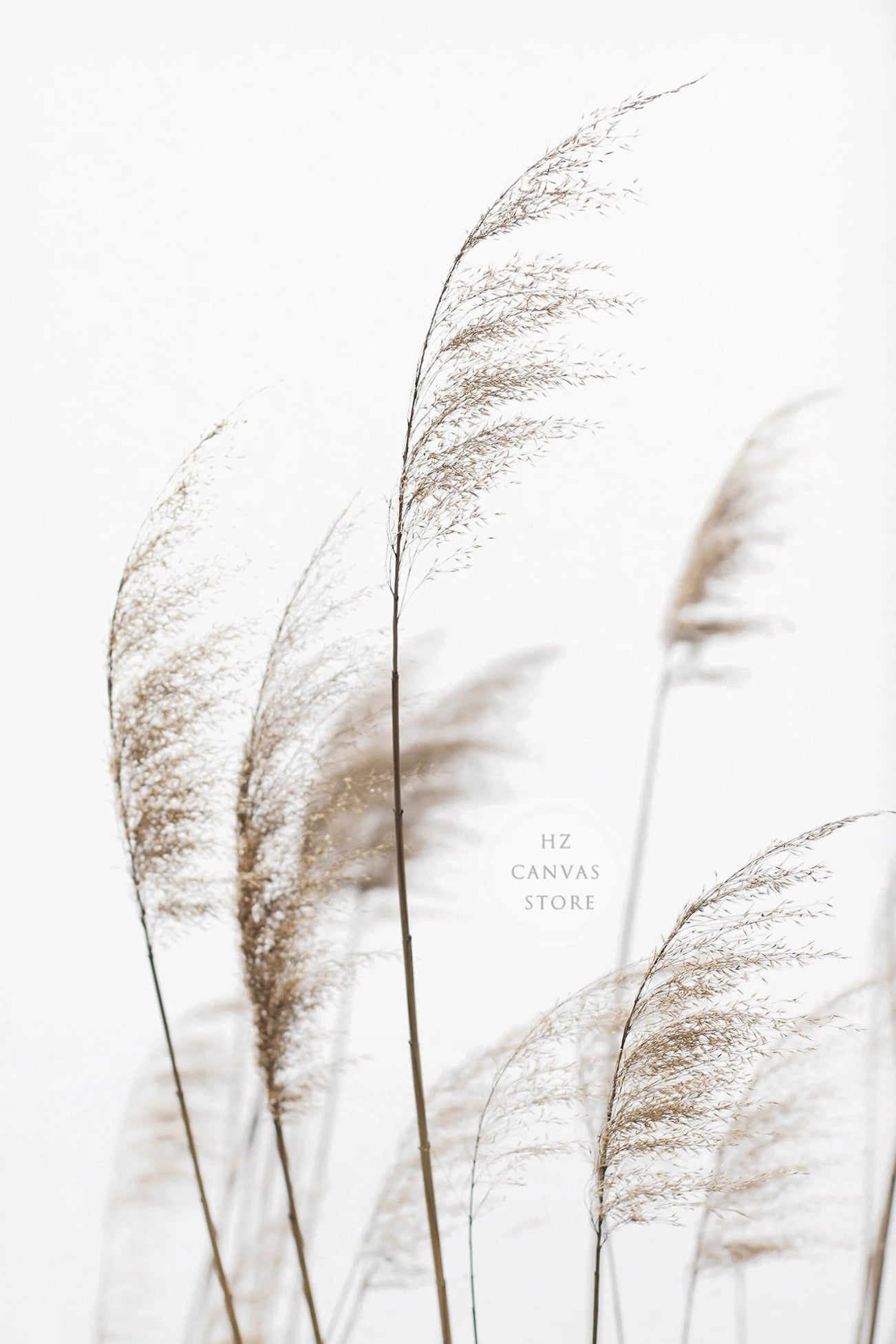 Modern Botanical Farmhouse Print Wall Art Eucalyptus Olive Branch Palm Leaves Neutral Nature Photography Living Room Home Decor