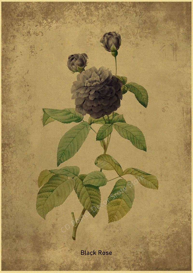 Botanical Poster Herb Plants Floral Art Wall Painting Blue Butterfly Flower Retro Prints Rose Vintage Home Room Decor Picture