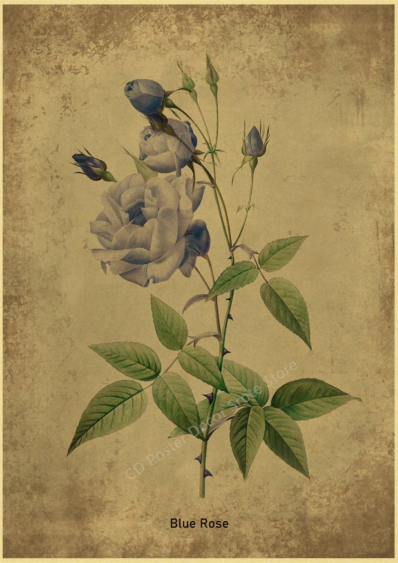 Botanical Poster Herb Plants Floral Art Wall Painting Blue Butterfly Flower Retro Prints Rose Vintage Home Room Decor Picture