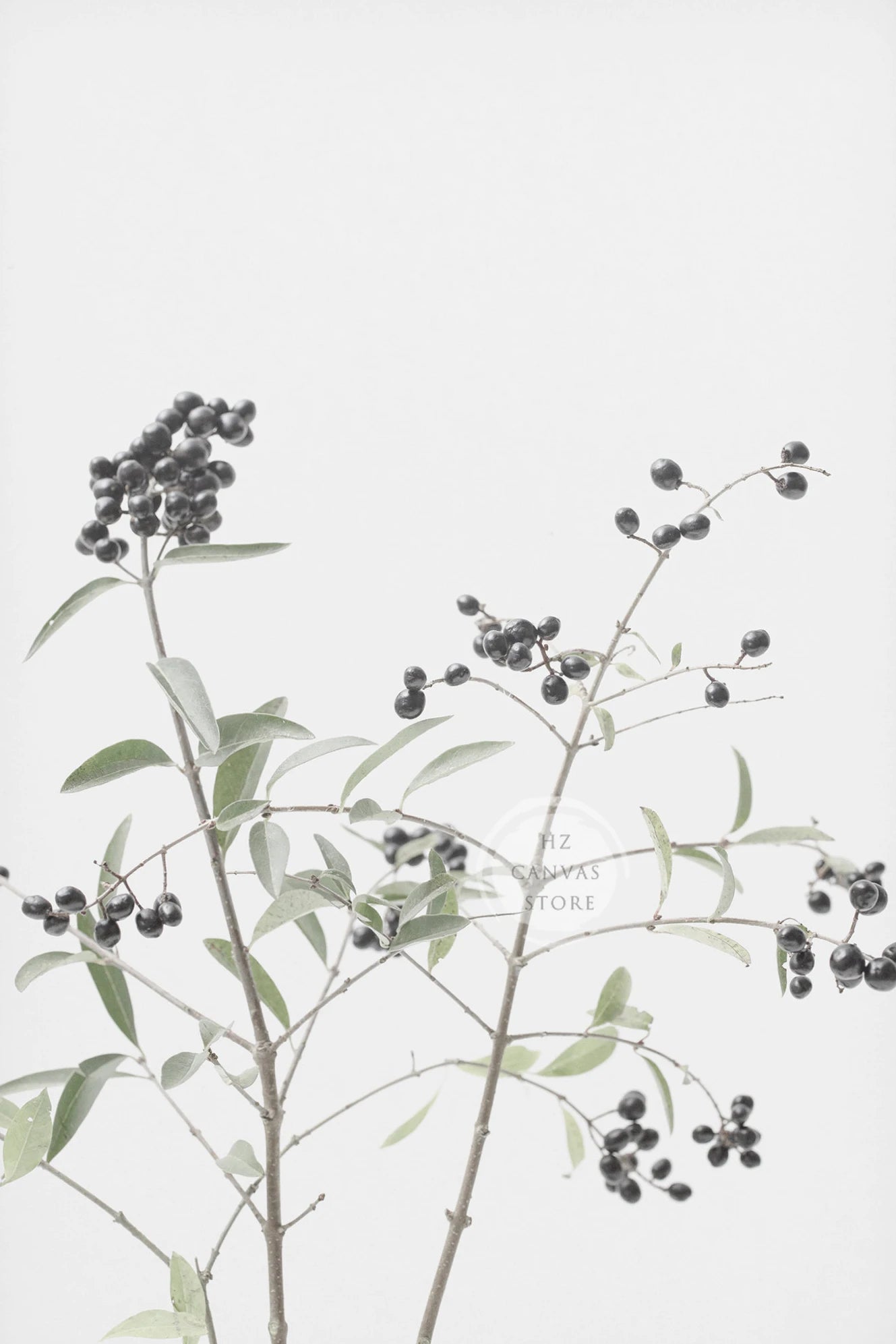Modern Botanical Farmhouse Print Wall Art Eucalyptus Olive Branch Palm Leaves Neutral Nature Photography Living Room Home Decor